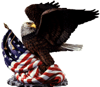 eagle.jpg